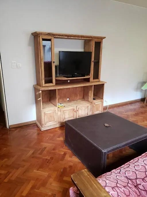 Gran Depto Peatonal Mendoza Apartment